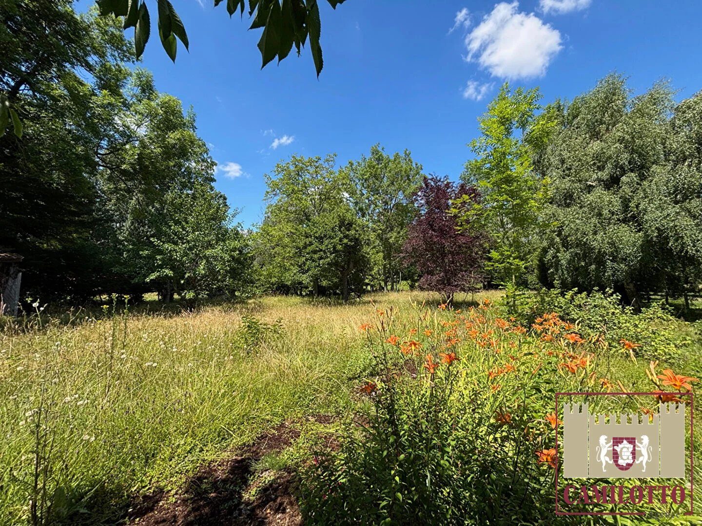 Property view 2